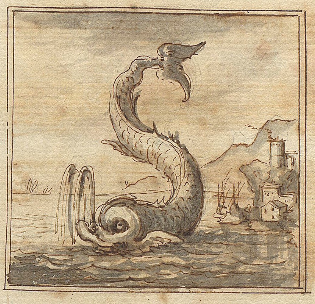 S - dolphin